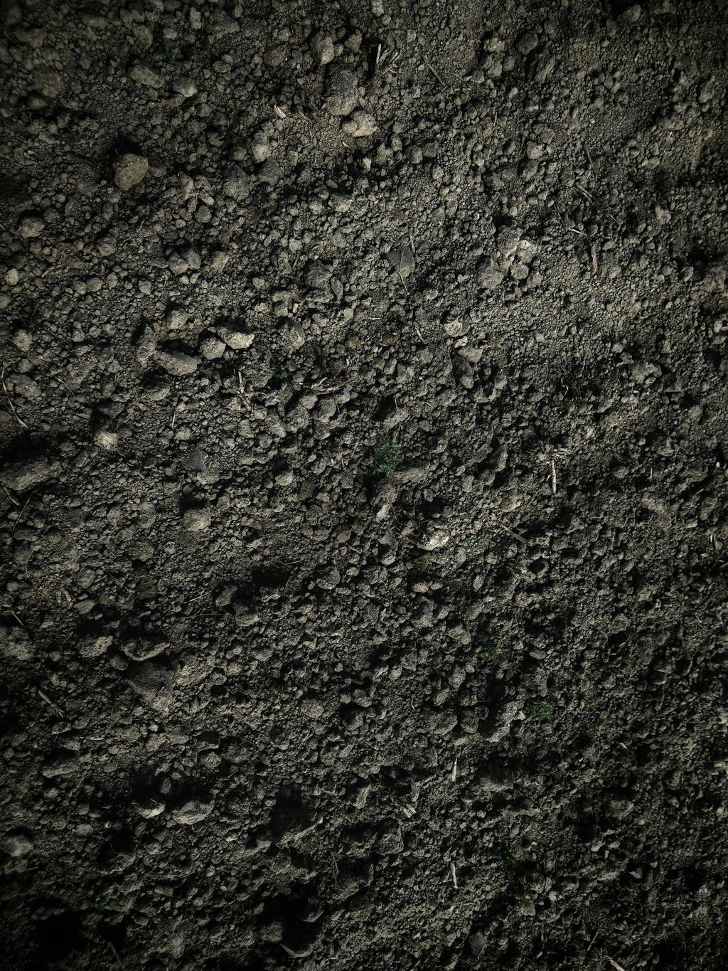 Topsoil, photo 1