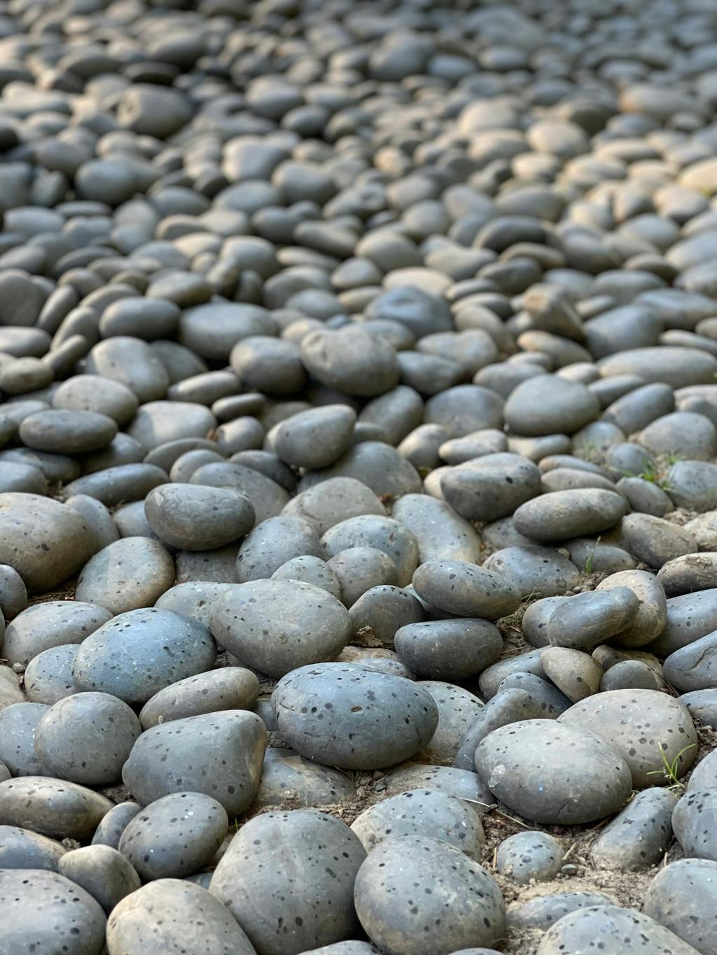 Beach Stone - photo 1