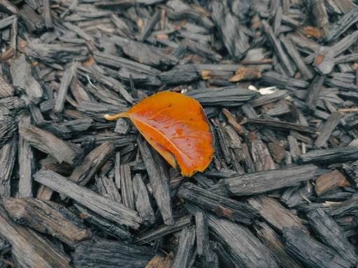 Black Mulch