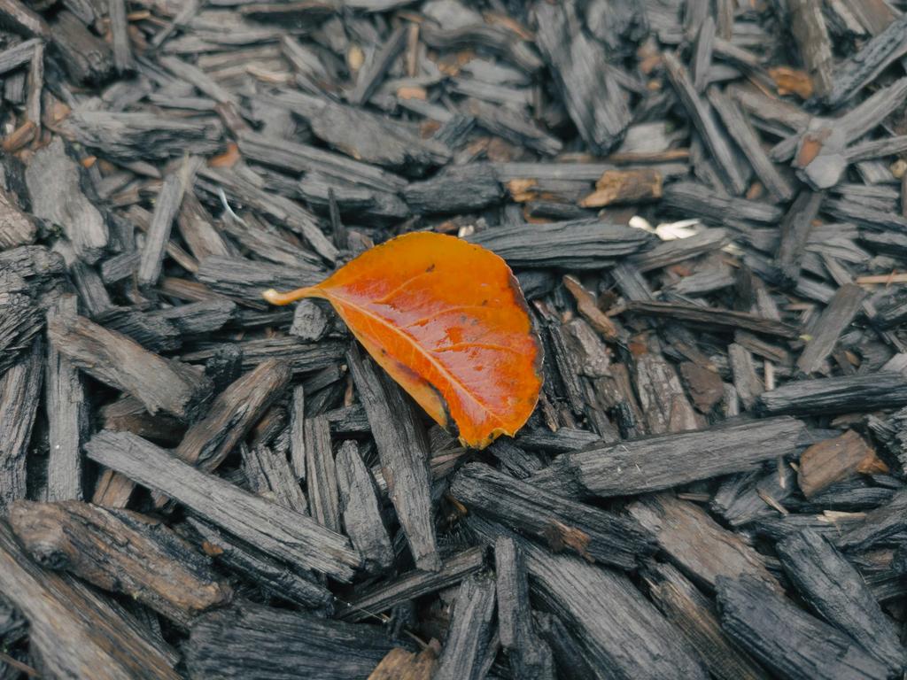 Black Mulch - photo 1